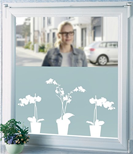 WENKO Sichtschutzfolie, Orchidee Fensterfolie