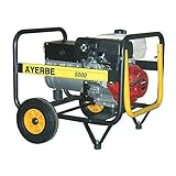 Generador monofásico AY-5000H-MN.