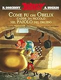 Image de Asterix: Come fu che Obelix cadde da piccolo nel p