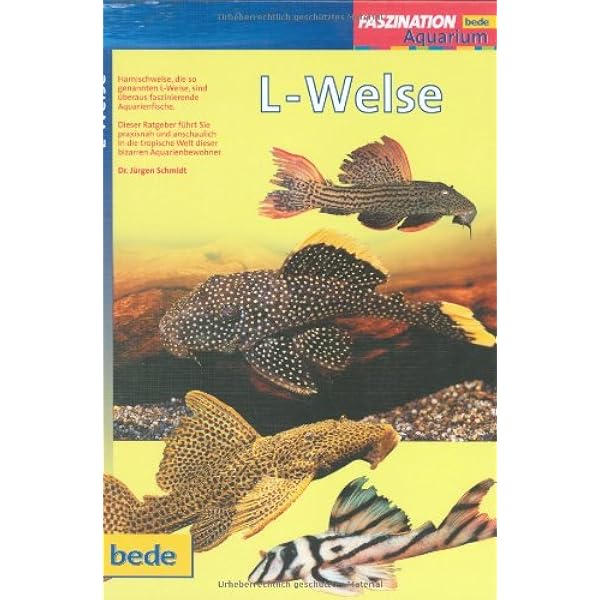 Aqualog. Reference fish of the world / Loricariidae. Alle L-Welse
