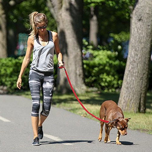 Handle-Dog-Lead-Padded-PETBABA-Reflective-Nylon-Training-Lead-for-Meidum-to-Large-Dogs