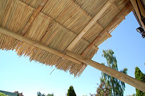 10 Stück Palmendächer Palmdach Paneele Palmschindel Palmenblätter 145 cm - 4