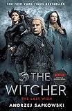 The Last Wish: Introducing the Witcher - Now a major Netflix show (English Edition) by Andrzej Sapkowski, Danusia Stok