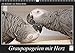 Graupapageien mit Herz (Wandkalender 2019 DIN A3 quer): Einzigartige Aufnahmen von wunderschönen Graupapgeien (Monatskalender, 14 Seiten ) (CALVENDO Tiere) by