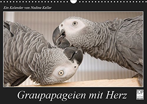Graupapageien mit Herz (Wandkalender 2019 DIN A3 quer): Einzigartige Aufnahmen von wunderschönen Graupapgeien (Monatskalender, 14 Seiten ) (CALVENDO Tiere)