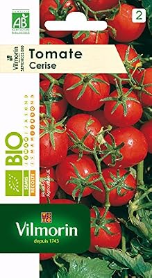 Vilmorin 3961734 Tomate cerise bio Rouge 90 x 2 x 160 cm