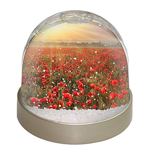 Poppies, Poppy Field at Sunset Photo Snow Globe Waterball - Advanta Group®