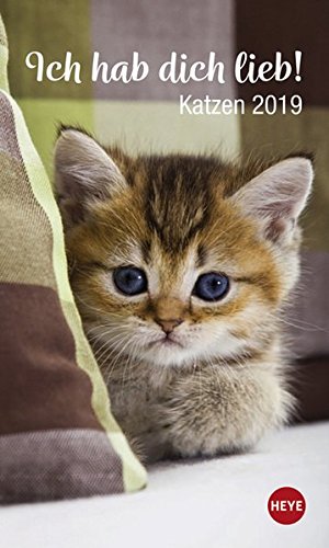Katzen Ich hab dich lieb - Kalender 2019