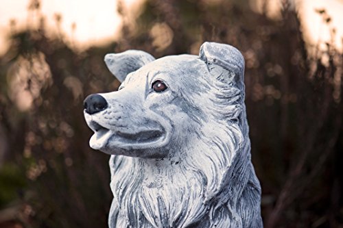 Steinfigur Hund Collie, Frost- und wetterfest bis -30°C, massiver Steinguss - 4