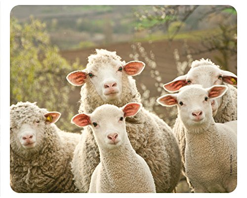"LUSTIGE SCHAFE" MOTIV 90 - BAUERNHOF (Schaf): Tier-Mousepad / Mauspad - Qualitäts-Mousepad aus extrem reissfestem Spezialkautschuk mit stark haftender Unterseite für optimalen Halt - kompatibel für alle Maustypen