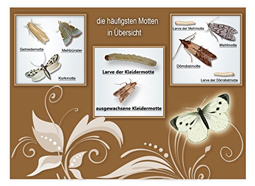 Tricho Protec gegen Lebensmittelmotten Schlupfwespen - 4