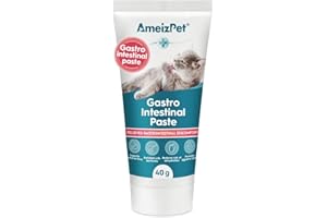 AmeizPet Gastro Intestinal Paste For Cats, Gastro Intestinal Support For Gut Health And Intestinal Flora, Digestive Support Supplement For Cats And Kittens, 40g (1.4 Oz)