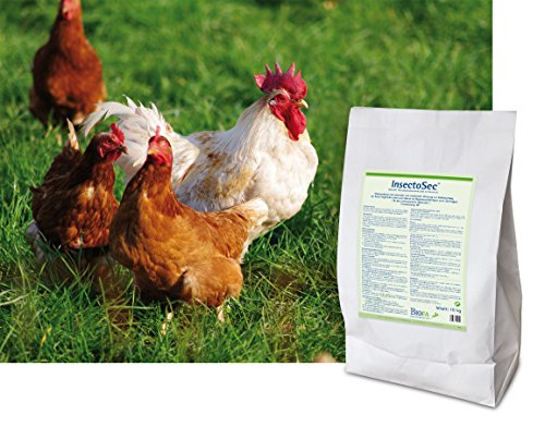 InsectoSec® 10 kg Kieselgur für Hühner, Pferde & Hunde | Mittel gegen Rote Vogelmilbe, Schädlinge und Insekten | Milben Stop | Nätürliche Schädlingsbekämpfung ohne synthetische Chemikalien | EU-Biozid-konform - 2