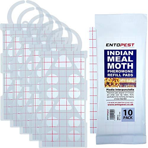 Entopest Indian Meal Moth (Pantry) Pheromone Traps - 5 Clear Holders & 10 Refill Pad Kit