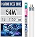 Produktbild Arcadia Marine Deep Blue 54 Watt Lampe T5 TL5 Aquarium Meerwasser Leuchtstofflampe