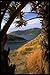 Produktbild 081022 Patong Bay Phuket Island A4 Photo Poster Print 10x8