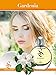 Sangado Gardenia Perfume Spray for Women 50 ml