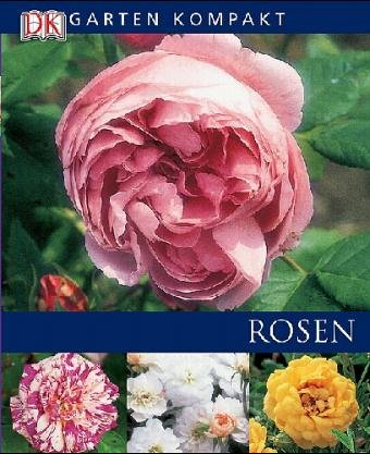 Download Rosen Download Rosen