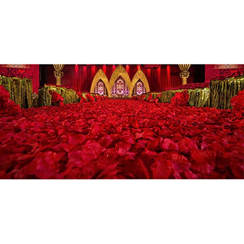 Coceca 1000 Stück Rosenblüten, Rosenblätter, Blumenblätter aus Seide, Kunstblumen für Hochzeit Feier Deko, Valentinstag romatische Überraschung - 6