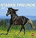 Pferde Postkartenkalender - Kalender 2018 by 