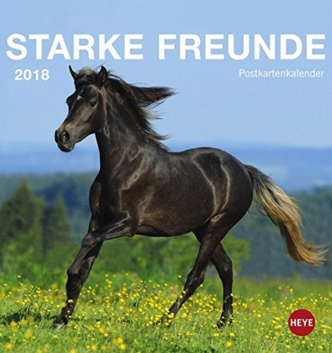 Pferde Postkartenkalender - Kalender 2018