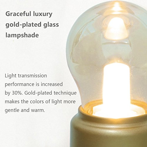 sunnymi USB Wiederaufladbare Nachtlicht/Weiche Beleuchtung/Vergoldeter Glasschirm/Kid Bedside LED Retro Glühbirne (Gold)
