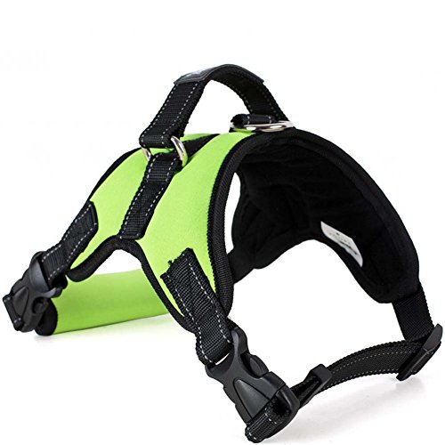 Treat Me Arnés para Mascotas,Ajustable, Sólido,Cómodo,para Pasear o Viajar con Perro o Gato XL Verde