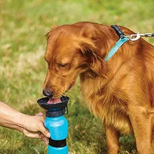 MOHAK Dog Water Bowl Bottle Sipper Portable Aqua Dog Travel Water Bottle for Travel or Walking, Dog Drinking Bottle (Multicolor)