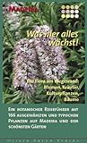 Image de Madeira - Was hier alles wächst!: Die Flora am Wegesrand: Blumen, Kräuter, Kulturpflanzen, Bäume