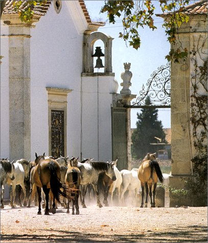 Book's Cover of L'art de vivre au Portugal