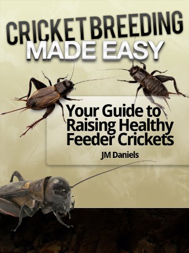 Cricket Breeding Made Easy Your Guide To Raising Healthy Feeder