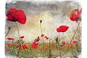 Poppies - Glass Worktop Saver/Protector - by Pearl Glass (Style 1, 50 x 40cm Large)