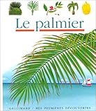 Image de Le palmier