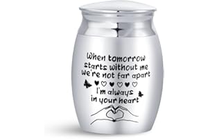 KunBead Jewelry Heart Butterfly Small Cremation Urns for Cat Pet Ashes Adult Holder Urn Mini Keepsake Decorative Memorial