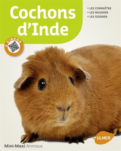 couverture de : Cochons d'Inde / les conna&icirc;tre, les nourrir, les soigner