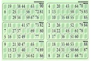 cavernedesjouets 1 Plaque de Loto de 6 grilles Tradition Carton Epais 1 mm, Coloris Vert - 29x20cm - Accessoire, Materiel - Set Plaque et Carte Tigre Offerte