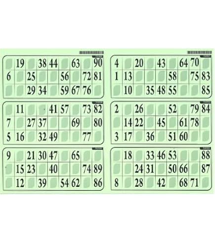 Carton de jeu loto - 6 grilles sur une plaque 29x20cm epais rigide 1 mm usage frequent - coloris lilas - set ccessoire et carte - Loto mémo et domino - Achat & prix