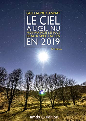 Télécharger Le ciel à l'oeil nu en 2019: Mois par mois les plus beaux spectacles Francais PDF