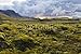 Produktbild Alu-Dibond-Bild 90 x 60 cm: "Surreal landscape with wooly moss at sunset in Iceland", Bild auf Alu-Dibond