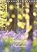 Produktbild Frühling im Hallerbos (Tischkalender 2019 DIN A5 hoch): Naturschauspiel der blühenden Hyacinthen im Stadtwald von Halle, Belgien. (Monatskalender, 14 Seiten ) (CALVENDO Natur)