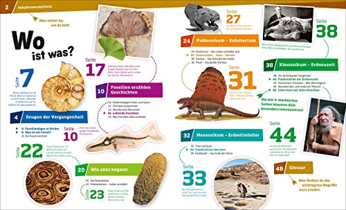 WAS IST WAS Band 69 Fossilien. Spuren des Lebens (WAS IST WAS Sachbuch, Band 69) - 2
