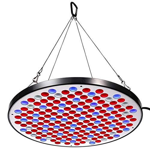 Preisvergleich Produktbild Remize® 50W LED Pflanzenlampe Vollspektrum Grow Light - Gewächshaus Pflanzenlicht