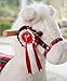Mamas & Papas Rocking Winter Horse With Bells - Suitable From 12 Months