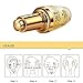 ROMANTIC BEAR Pure 24K Gold Essence Anti Wrinkle Whitening Collagen Moisturizing Hyaluronic Acid Liquid