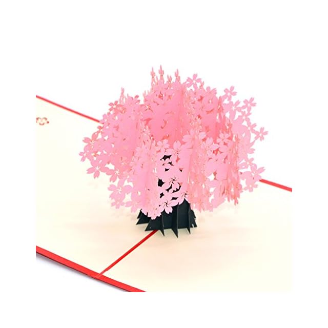 Osunp Paon 3d Pop Up Carte De Vœux Faite A La Main Carte Danniversaire De Mariage Carte Dinvitation Cartes Cadeau Pour Anniversaires Damitie Meilleur Souhait Bonne Chance De Saint Valentin Tarjetas De Felicitacion