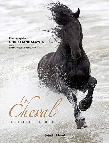 Cheval: Élément libre by Emmanuelle Brengard