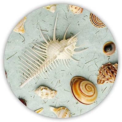 With Shell For Circle Name Tag For Women Made By Mdf Drop Resistance