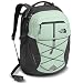 Produktbild The North Face Women's Borealis Backpack - Subtle Green/Asphalt Grey - One Size (Past Season)