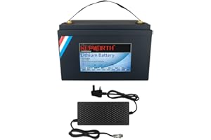 FLLYROWER LifePo4 Batterie 12V 100Ah jusqu'à 7 000 Cycles Profonds avec Batterie BMS au Lithium Fer Phosphate pour Moteur à la traîne Panneau Solaire RV Bateau Chariot de Golf Applications ménagères