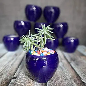 Sazao Blue Apple Ceramic Pot for Indoor Plants (Small in Size) (8)